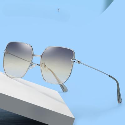 Trendy Metal Sunglasses Stainless Steel Tac Polarized Sun Shade Sunglasses Polygon Trendy Glasses for Women