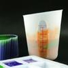 2Pcs Set Measuring Cups with Graduated Scale 250/500ml Laboratory Capacity Cups