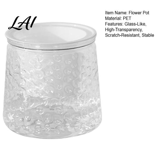 Decorative Aesthetic Flower Pots Self‑Watering Planter Pot Thick Transparent Embossed Desktop Vessels Indoor for Hydroponic Houseplants Succulents