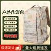 Yishan 19 Tactical & Mountaineering Backpack