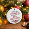 Grandparents Gifts Ornament, Grandparent Gift from Grandkids, Pregnancy Announcement Promoted to Grandparents Ornament, Great Grandparent Birthday
