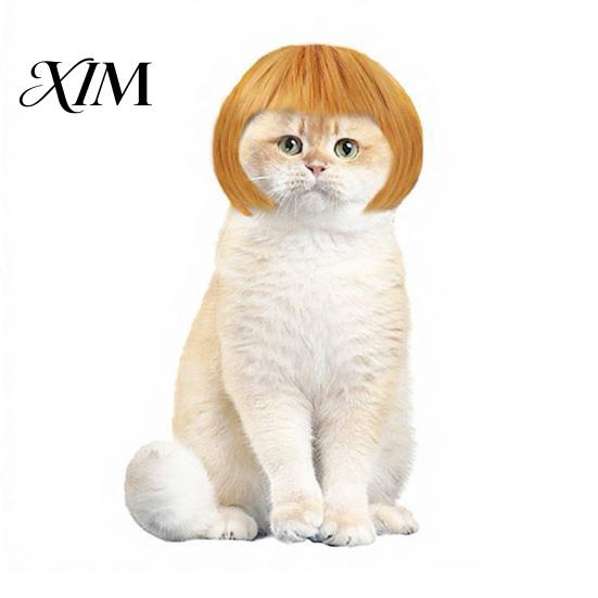 Small Pet Party Accessory Bob Wig, Funny Cat Wig with Adjustable Elastic Band, Soft Breathable Strap Headpiece Mesh, Cute Cosplay for Dogs And