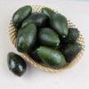 Home,Fruit Shop,Kindergarten Table Decoration Photography Props Party Ornaments Artificial Avocado