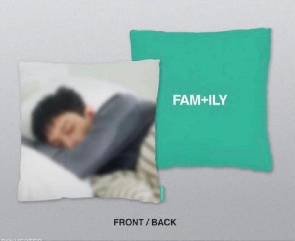 [USED] Hard-to-find FAM+ILY cushion cover