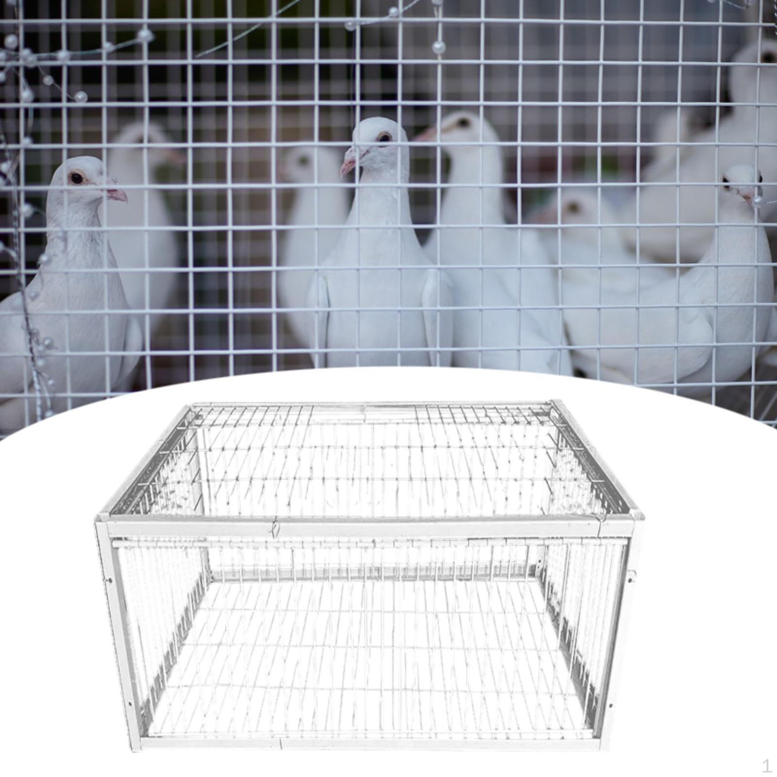 

Клетка для птиц, автоматический сбор голубей, клетка для животных, для садов, голуби 4 enter