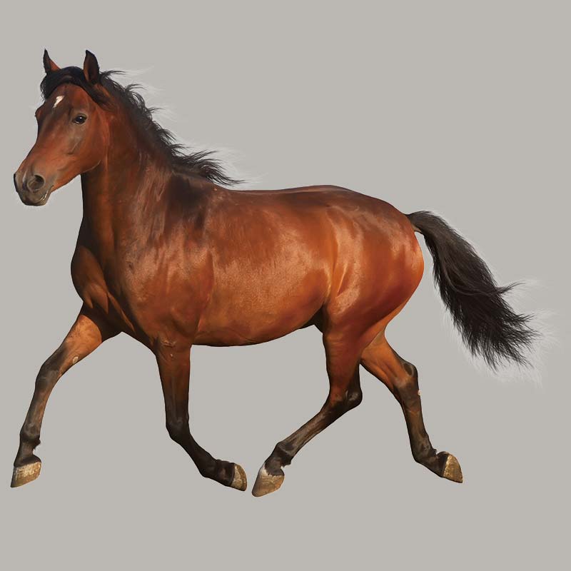 

3D нашивки с изображением лошади для одежды, футболка с утюгом, виниловые толстовки с капюшоном, топы, термопресс «сделай сам», моющиеся термонакладки A-уровня