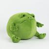Ricky Rain Frog Doll Ugly Cute Frog Plush Toy Rain Frog Pillow Bedroom Ornament