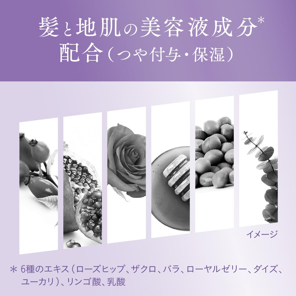 Segreta Soft from the Refill Shampoo, Roots,