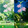 Solar Energy Solar Courtyard Lamp LED Light Lawn Decoration LED Lawn Lamp Courtyard Atmosphere Fiber Optic