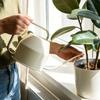 Garden Iron Plant Watering Can Designed For Small Houseplants Accurate Succulents Irrigation And Stylish Home Decoration
