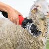 Speed Portable Electric Sheep Clipper Wool Shearing Shears for Farm