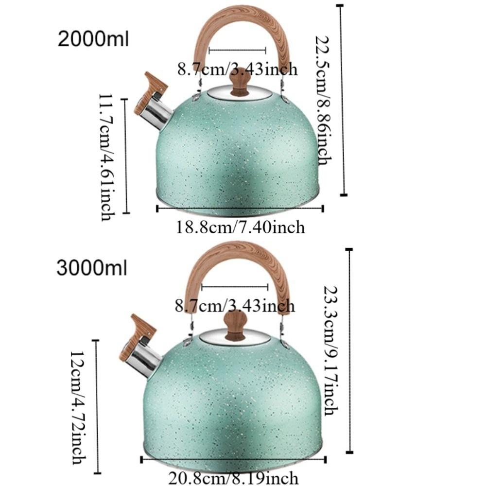 Flat Bottom Star Point Whistle Kettle 2/3L Teapot Durable Stove Water Kettle  Induction Cooker