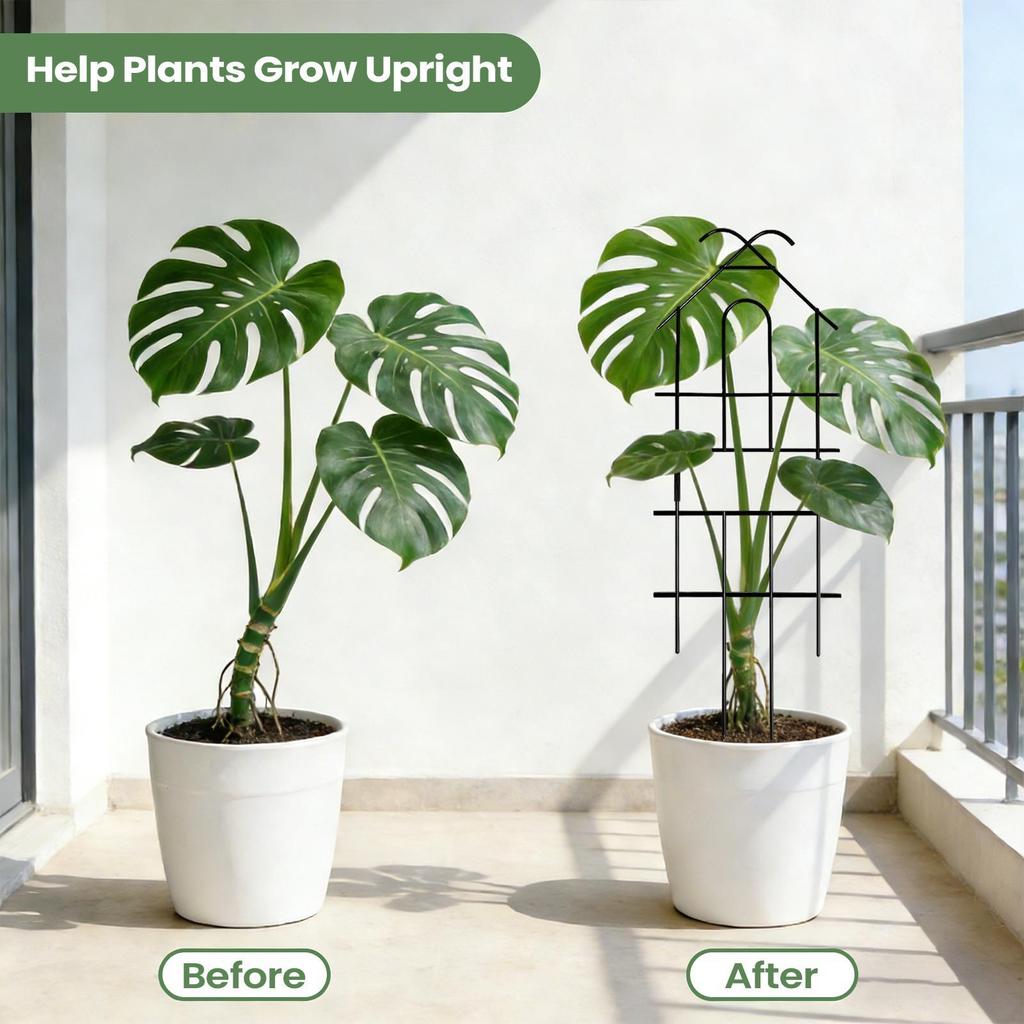 Plant Trellis Metal Plant Grow Support Trellis Climbing Vine Frame For Indoor Outdoor Patio Garden Greenhouse Balcony Wedding
