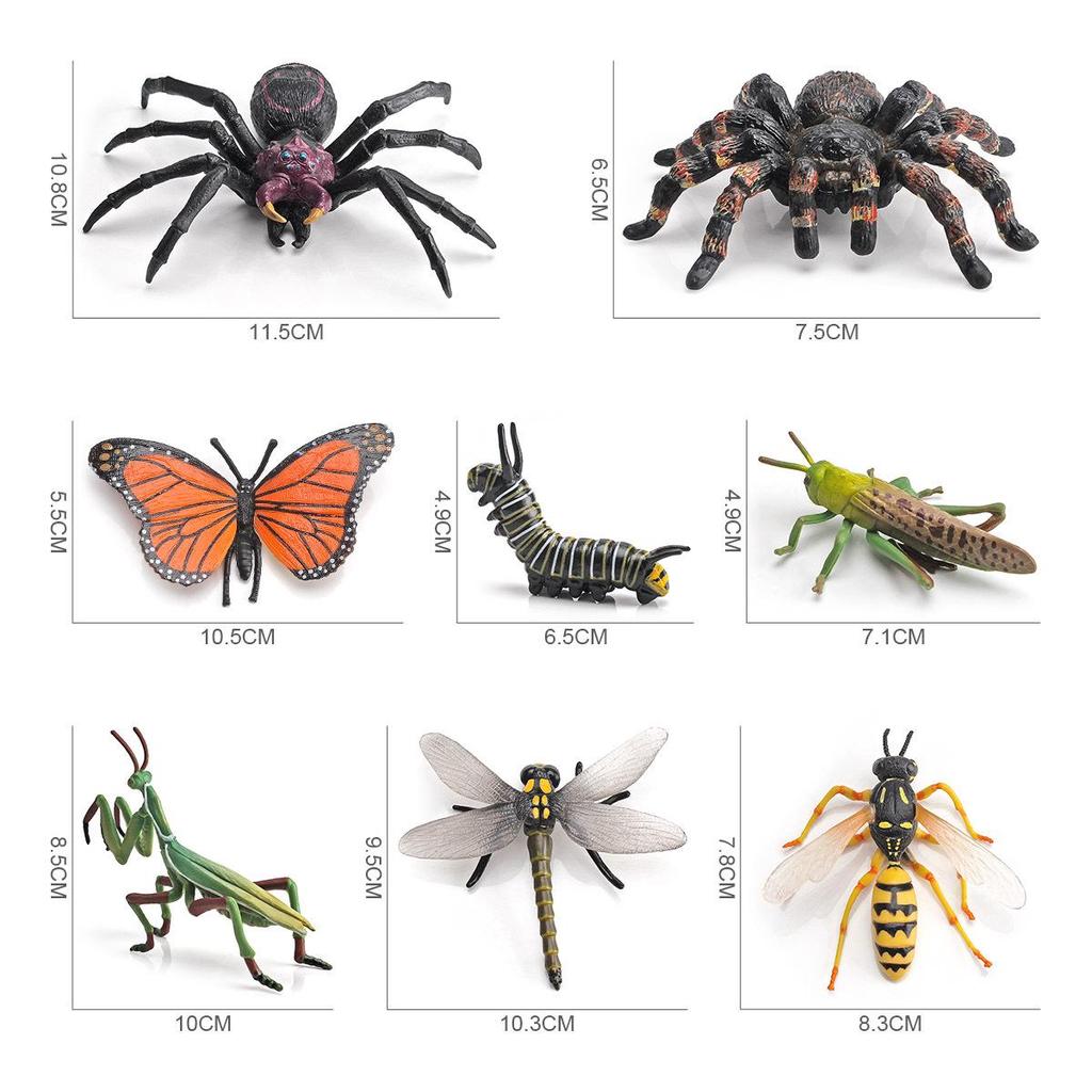 Wild Insect Model Toys: Poisonous Spider, Caterpillar, Butterfly, Mantis, Grasshopper, Dragonfly, Wasp Ornaments