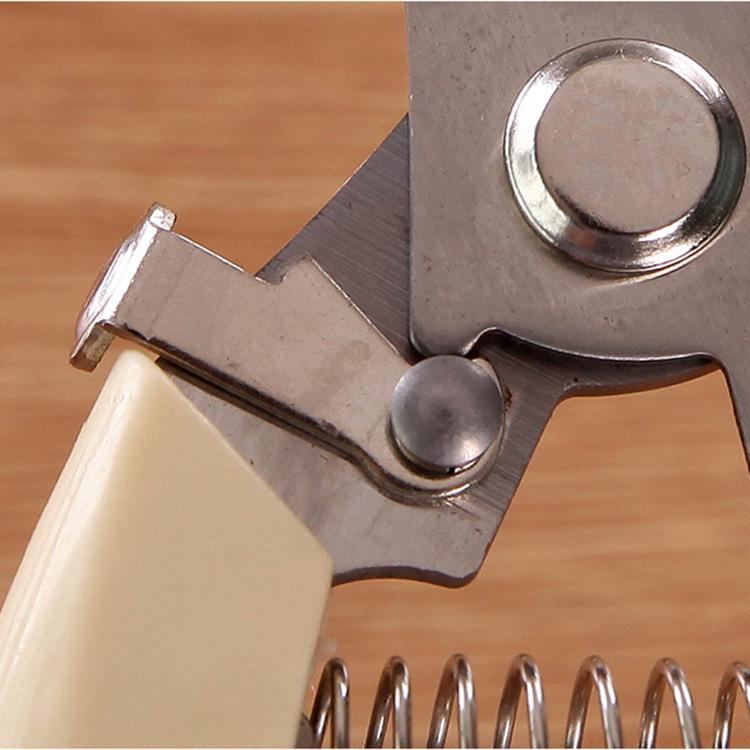 Stainless Steel Pruning Shears: Garden Scissors for Branches, Fruits, Flowers, and Grafting