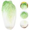 TOYMYTOY Fake Vegetable Artificial Realistic Chinese Cabbage Restaurant Display Green Model, Vegetables, Model, Prop,