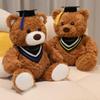 Cute Graduation Teddy Bear with Doctor's Hat - Commemorative Gift for Students