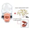 Model Capian Phantom Dentar Cu 28/32 Dinți de Rezervă Simulator Stomatologic Echipament Typodont Pentru Predarea Studierii Medicilor Dentisti Fierbinte
