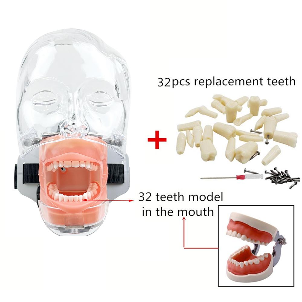 Model Capian Phantom Dentar Cu 28/32 Dinți de Rezervă Simulator Stomatologic Echipament Typodont Pentru Predarea Studierii Medicilor Dentisti Fierbinte