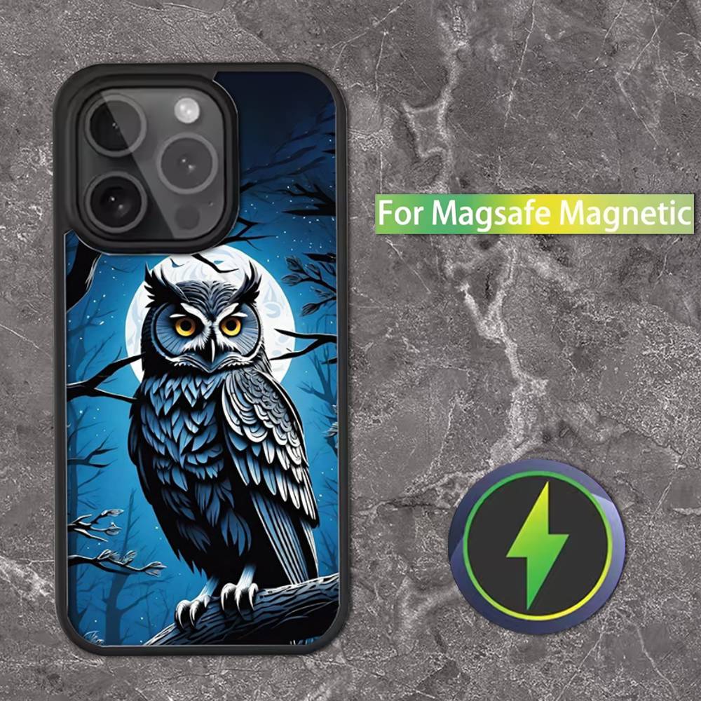 

Cute C-Colorful Owl B-Bird Phone Case For iPhone 17,16,15,14,13,12,11,Pro,Max,Plus,Mini,SE Magsafe Magnetic Wireless Charging iPhone15pro