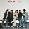 LP-Platte NEW RIDERS OF THE PURPLE SAGE Who Are Those Guys MCA2248 MCA 1977 US Rock Gebraucht
