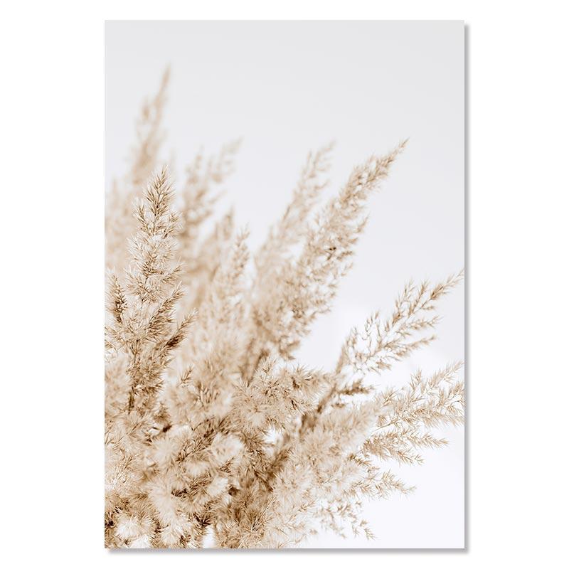 

Бежевый пампасный холст, постер, ракушка, тростниковый лист, современные настенные художественные принты, сухоцветы, печать, фотографии, скандинавские постеры, декор для гостиной 21x30cm No Framed