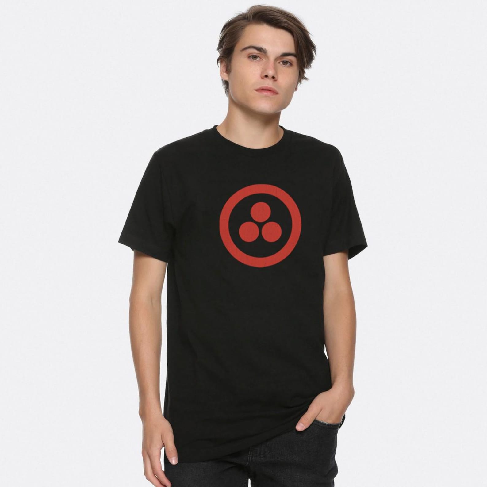 Nicholas Roerich Banner of Peace T-Shirt, Men s Women s Sizes (DSN-45441) S