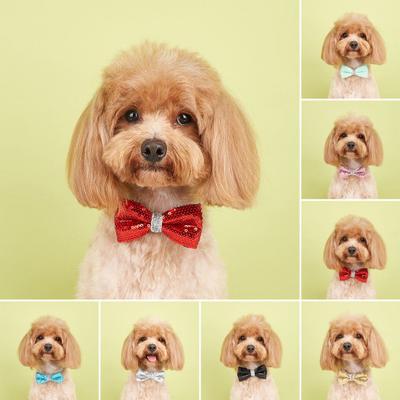 Evcil Hayvan Payetler Fiyonk Yaka Ayarlanabilir Hafif Tatlı Kedi Küçük Orta Köpek Yavrusu Kolye Evcil Hayvan Malzemeleri