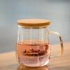 Sohome Double-Layer Tea Infuser Glass Bottle