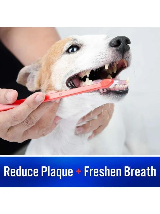 Toothpaste for dogs and cats Virbac Enzymatic Toothpaste dogs-cats, 70 g.