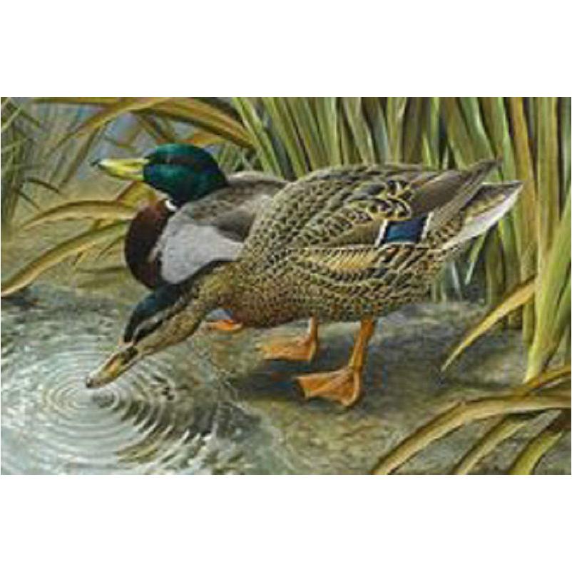 5D DIY Full Round Drill Diamond Painting Wild Duck Cross Stitch Mosaic Kit 5D DIY Full Round Drill Diamond Painting Wild Duck Cross Stitch Mosaic Kit