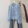 Korean Style Plus Size Embroidered V-Neck Lace Top - Autumn Women's Loose Long-Sleeve
