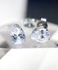 Glory_Arden [Unisex] Surgical Steel Crystal Teardrop Shape Earrings / Gbse-049
