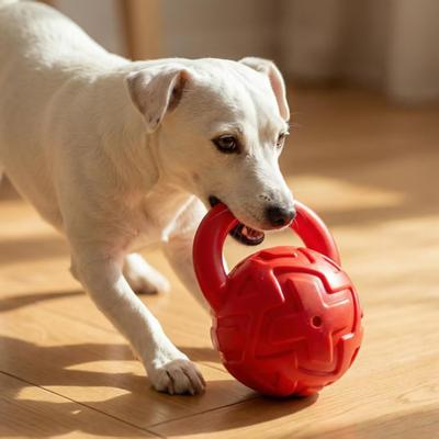 Squeaky Kettlebell Dog Toy Interactive Dog Chew Toy with Handle Tooth Cleaning Toy for Aggressive Chewers Dogs Fetch Outdoor Training