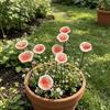 3pcs Ceramic Bee Butterfly Water Dispenser Flower Shape Bee Watering Station  Courtyard