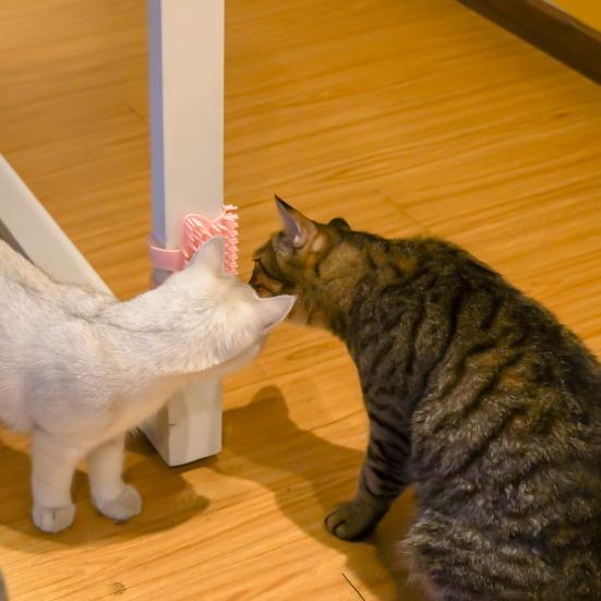 Corner Pet Brush Massage Rubbing Board Multifunctional Silicone Self Grooming Comb Cat Scratcher