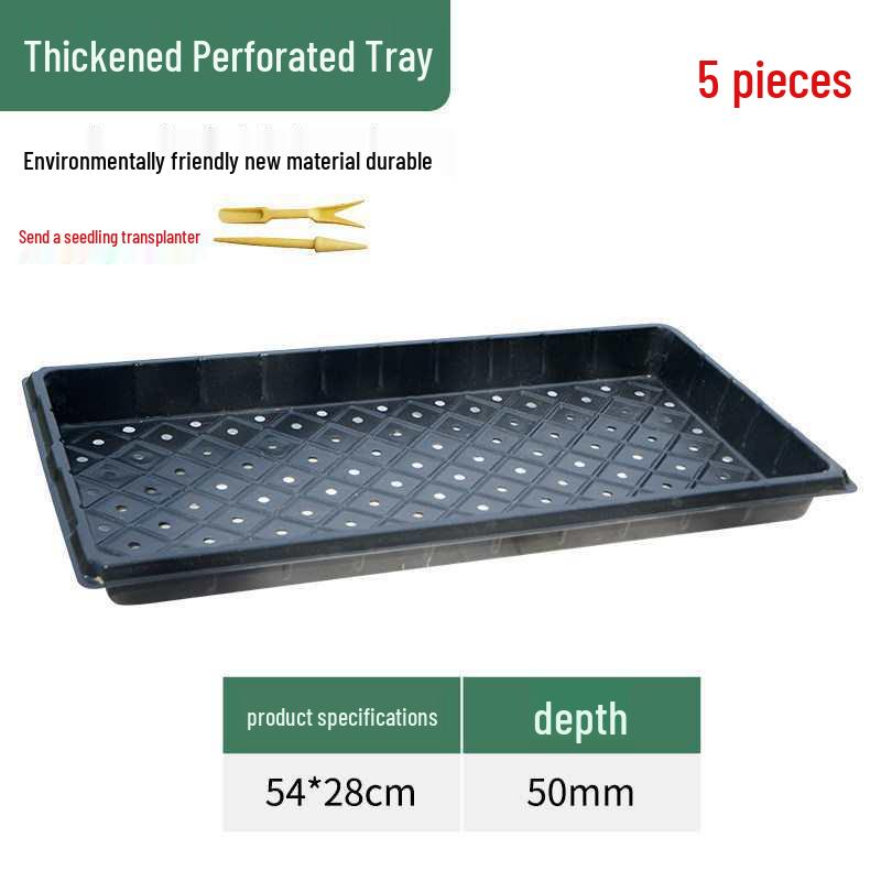 Thickened Plastic Succulent Seedling Tray for Cultivation & Cutting