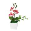 Decorative Ornaments Phalaenopsis Flowers Potted Artificial Flowers