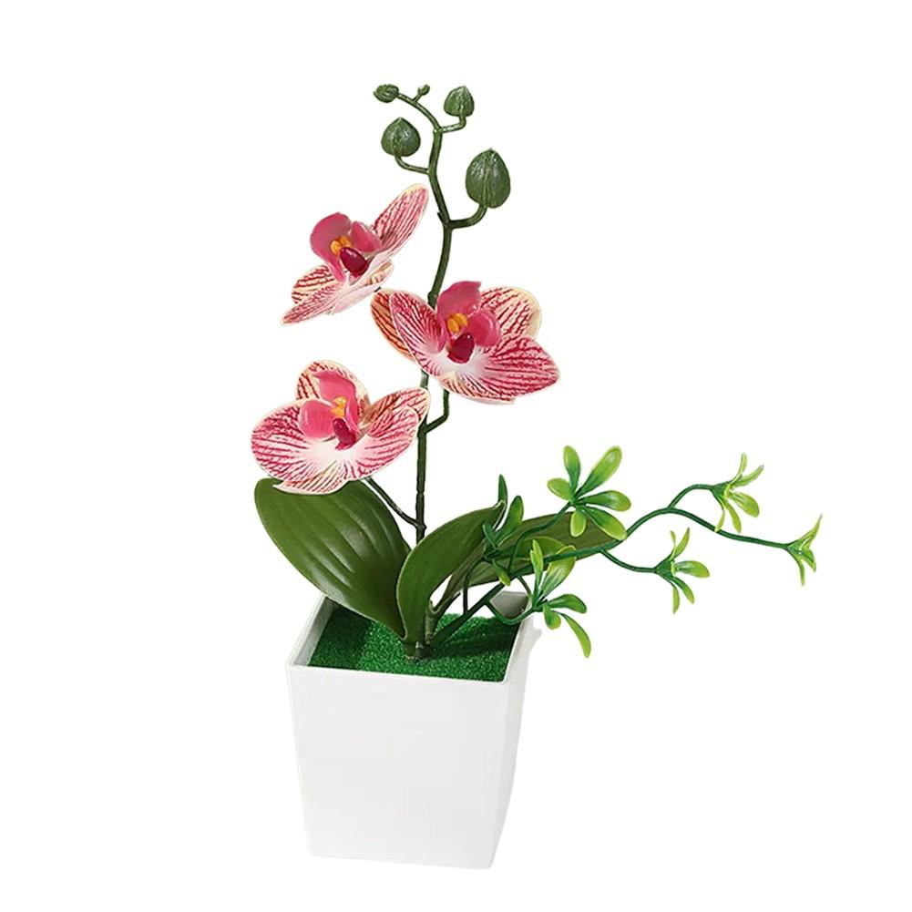 Dekorativní ozdoby Květiny Phalaenopsis Květináče Umělé květiny
