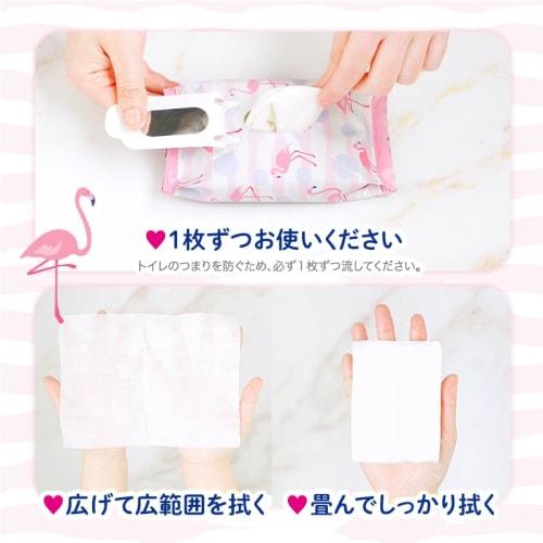 [Set of 4] LEC Women's Delicate Wet Wipes, Femia, 20 Sheets x 2 Packs (x4) (Soap Scent) Flushable / Made in Japan / For After-Hair Removal Care / Incl