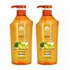 Bee & Flower Ginger Hops Shampoo Twin Pack