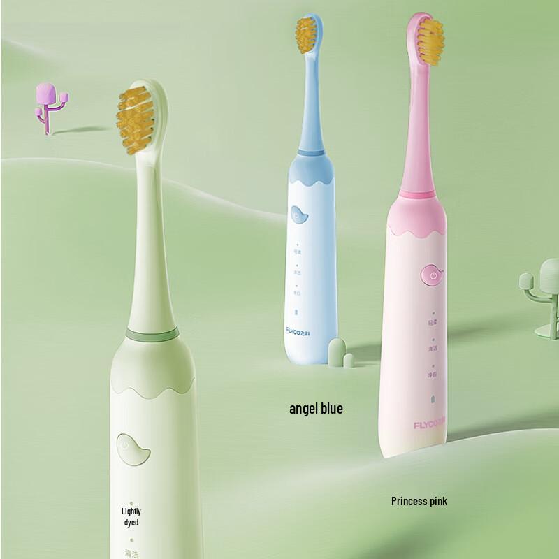 FLYCO Electric Toothbrush