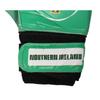 Northern Ireland Boys Crest Goalkeeper Gloves