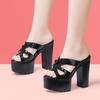 High Heels 14cm Thick Heel Women's Cool Slippers 2025 Summer Thick Sole Platform Height Increasing Fish Mouth Straight Drag