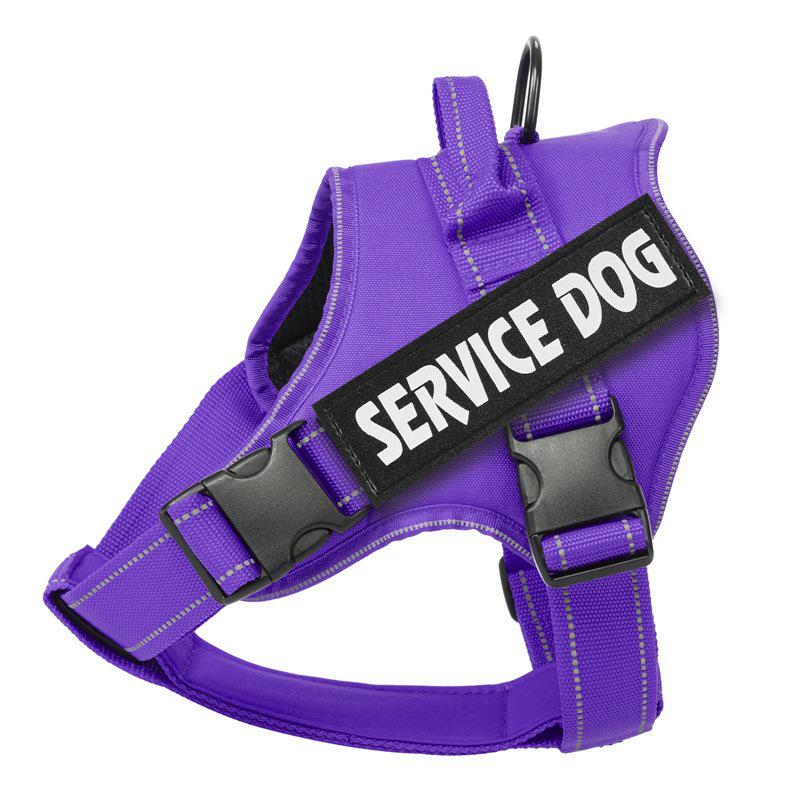 Dog Leash Spot: Medium/Large Labrador Vest-Style Harness