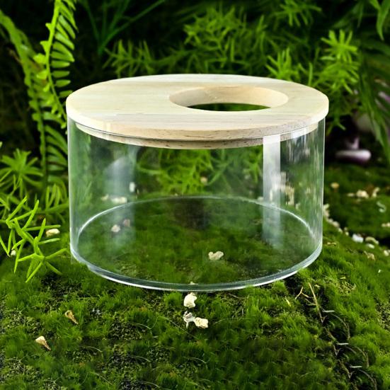 Sand Container Creative Design Wide Applicability Transparent Acrylic Critter Sand Bath Box