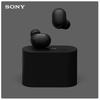 Sony WF-1000XM6 True Wireless Noise-Cancelling Earbuds