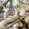 Squirrel Proof Hanging Bird Feeder Bite Resistant Hanging Bird Food Station  Hummingbird