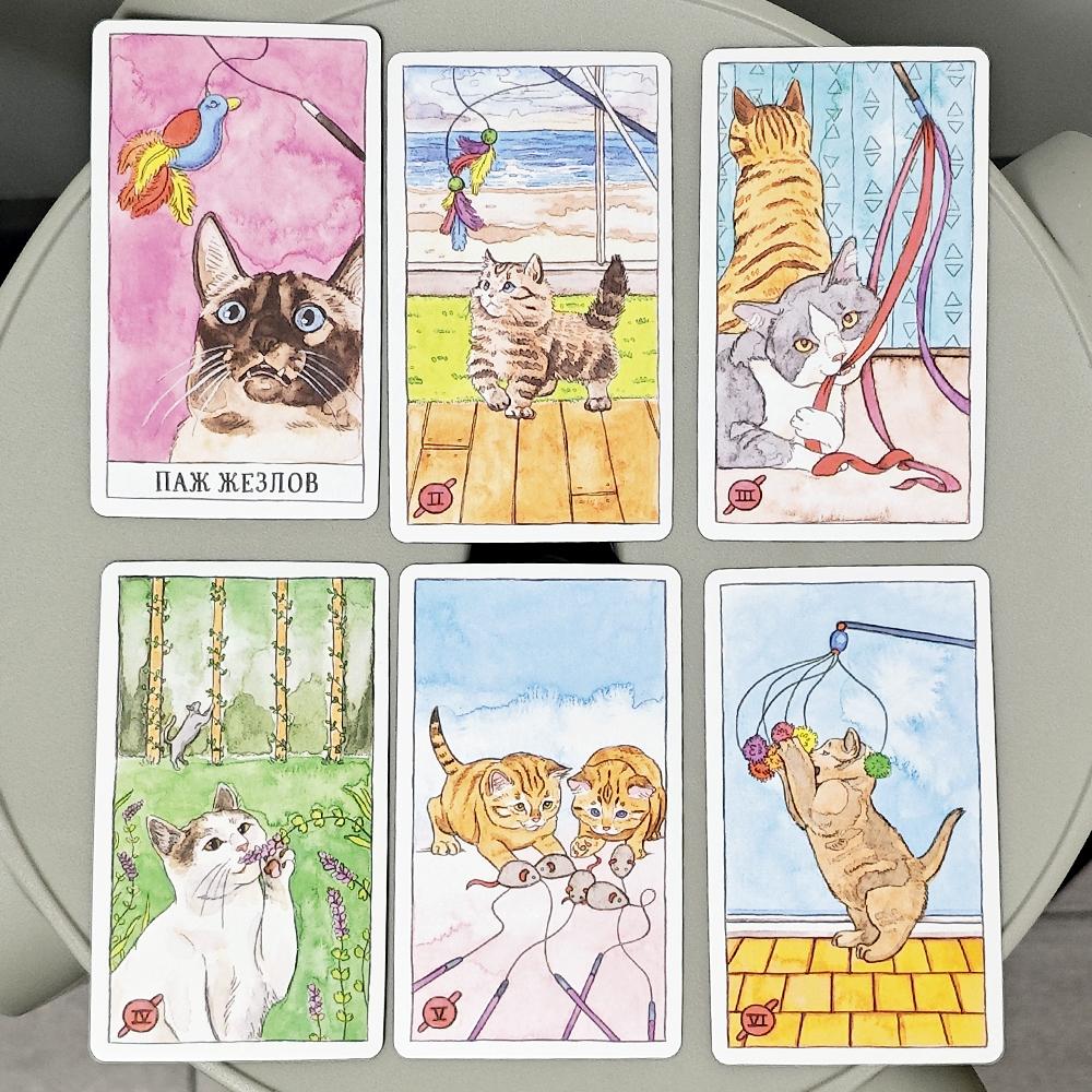 10,3*6 cm Kot Tarot Język rosyjski 78 sztuk Karty Tarota o tematyce kota łączą autentyczność z kocim poczuciem humoru