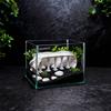 Aquarium Accessories, Plastic Fish Tanks Decoration Cottage Ornament for Fish Tanks Landscape Aquarium Hideouts Cave Decors